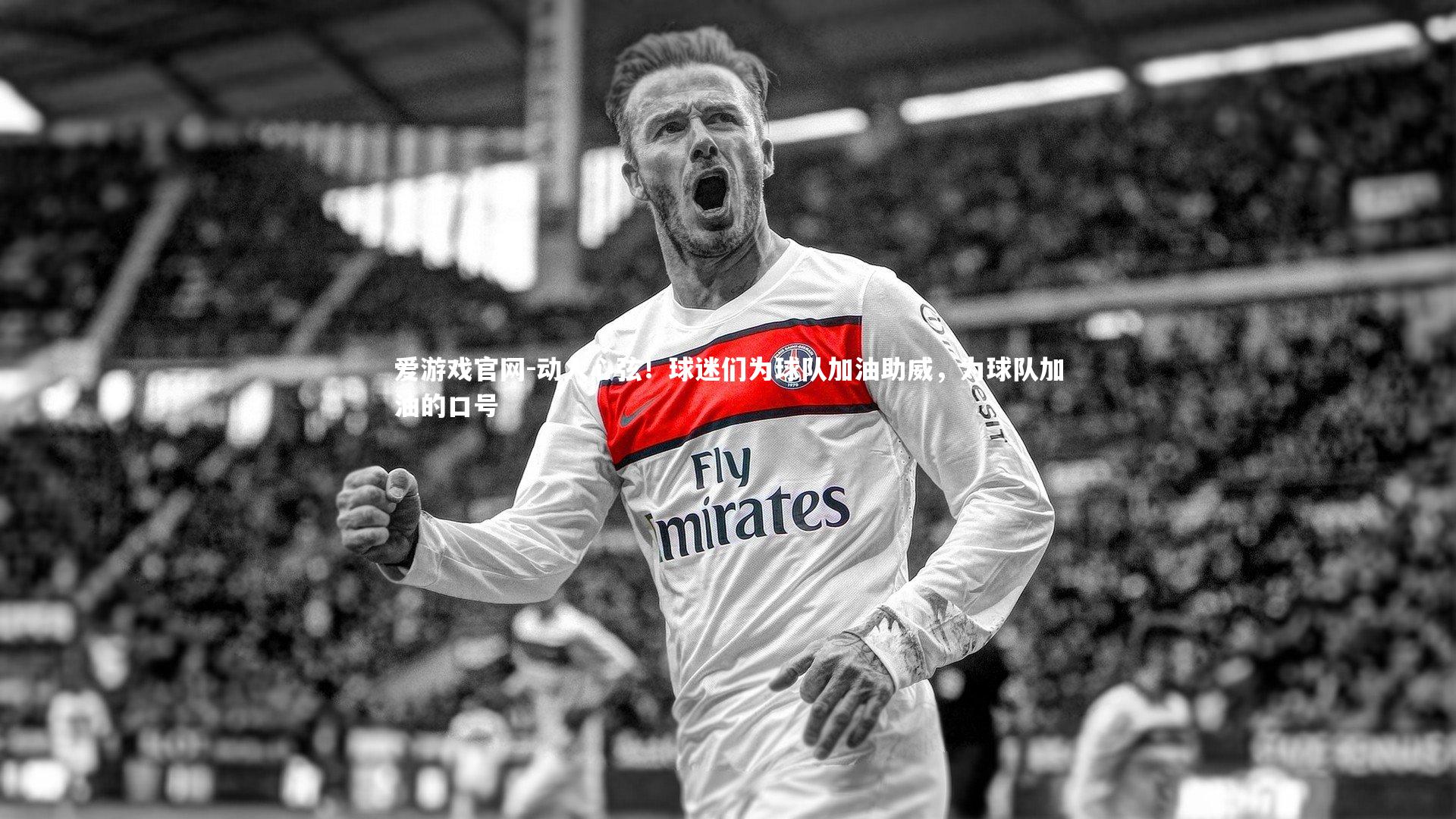 动人心弦！球迷们为球队加油助威，为球队加油的口号